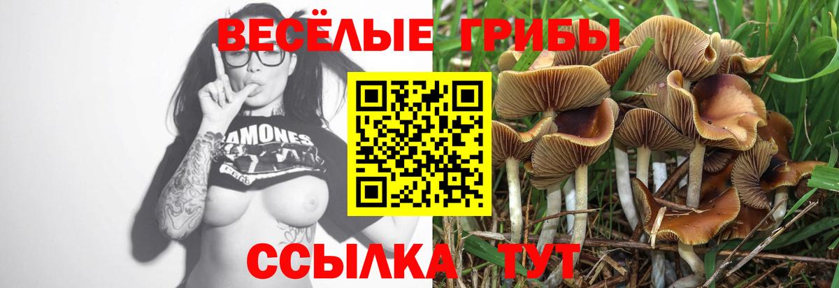 Псилоцибиновые грибы мицелий  Вход с VPN  купить закладку  Полысаево 