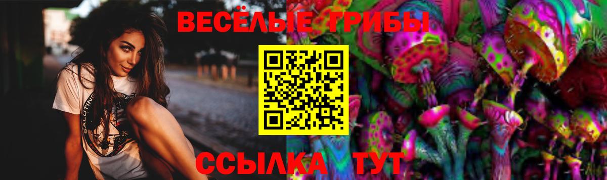 Псилоцибиновые грибы прущие грибы Полысаево